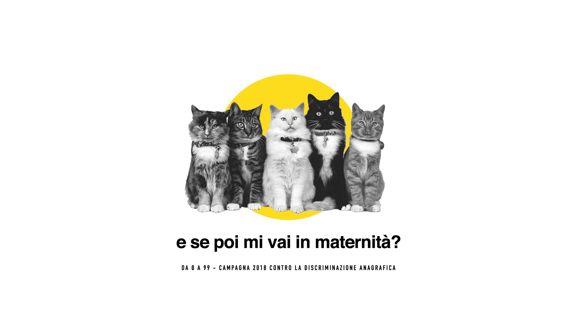 Cinque gatti diversi che fissano chi guarda la pagina, immagine in biano e nero. Il pay off dice: "e se poi mi vai in maternità?". Da 0 a 99 - Campagna contro la discriminazione anagrafica